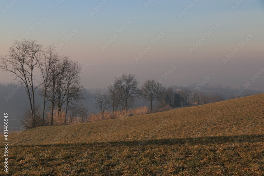Fototapeta premium Terre con alberi