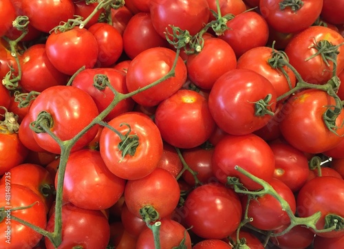 Dutch tomato displayed for sale in market