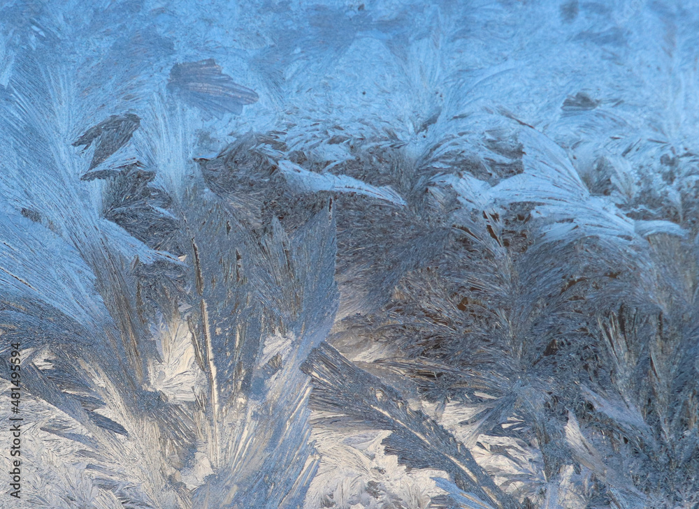 Beautiful ice crystals on window pane