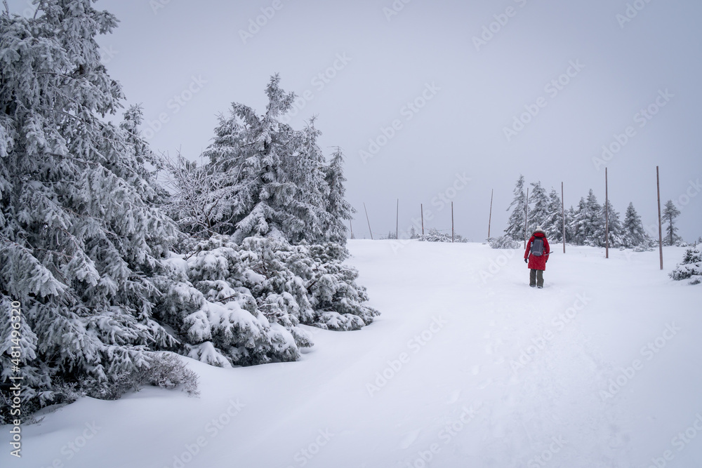 Young lady walks in the mountains in winter scenery