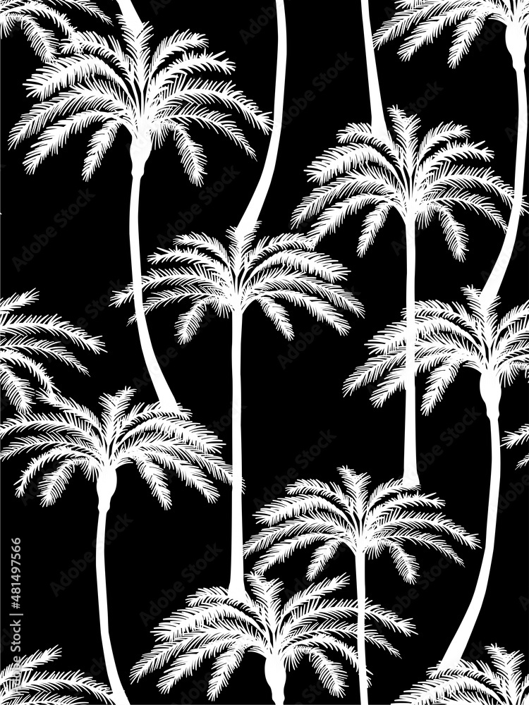 Black and white palm tree pattern. Vector seamless pattern.