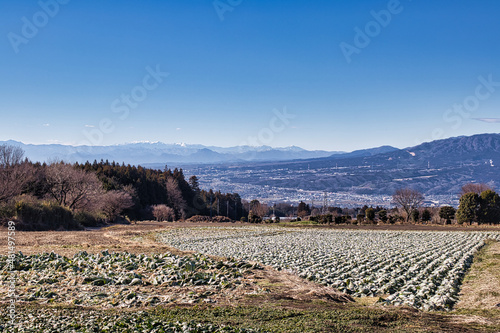 landscape in the mountains