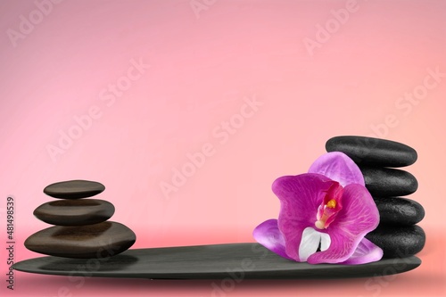 Background for cosmetic products of natural color. Stone podium with plant.