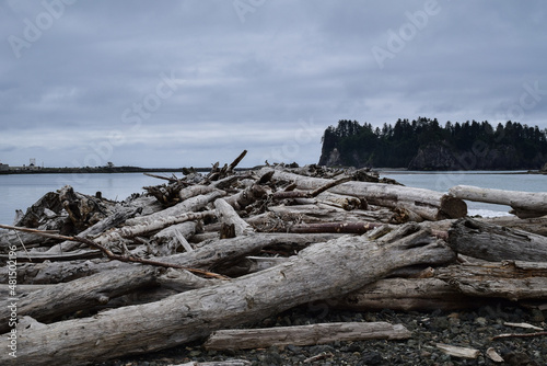 Olympic National Park  Washington  USA