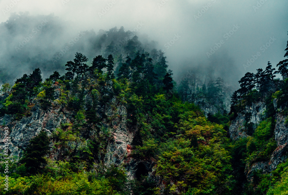 Misty Karst Mountain Valley Landscape