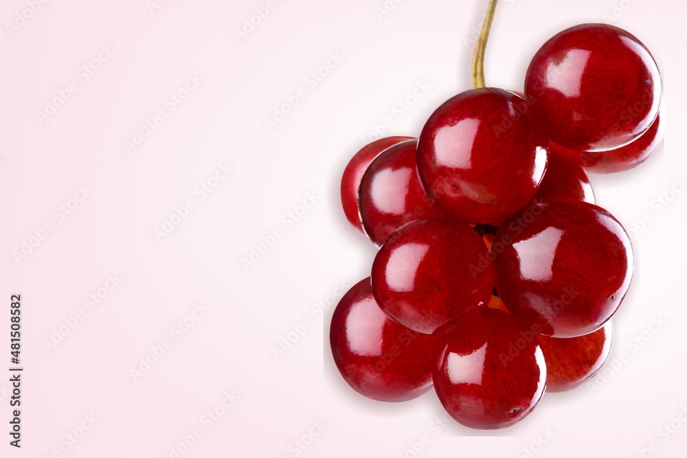 Grape. Fresh violet grape collection, food concept Grape. Fresh violet grape collection, food concept