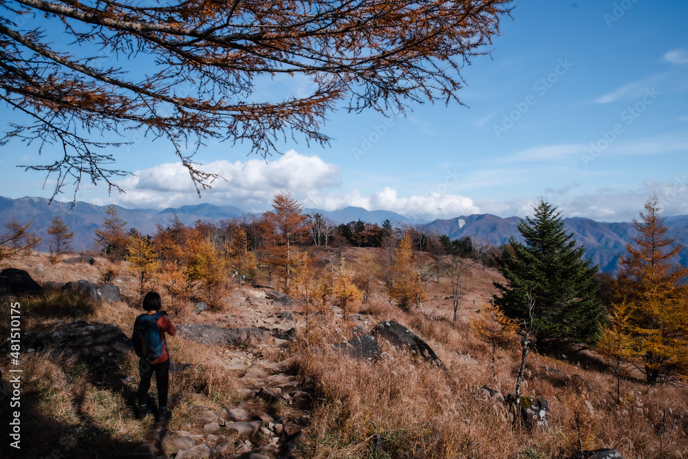 Obraz premium 紅葉の乾徳山