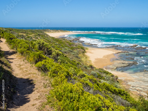 Fototapeta Naklejka Na Ścianę i Meble -  Track on the Great Ocean Walk - Crayfish Bay, Victoria, Australia