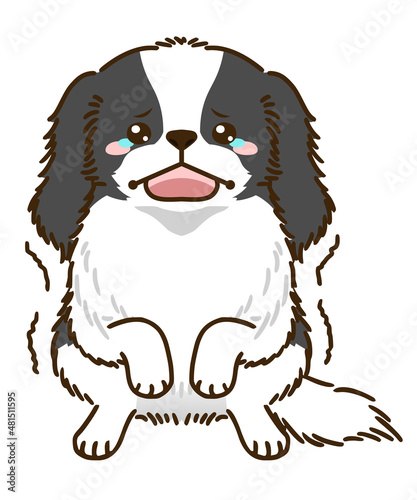 おびえる狆