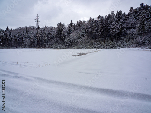 真っ白な雪原と雪化粧した樹々 © 739photography
