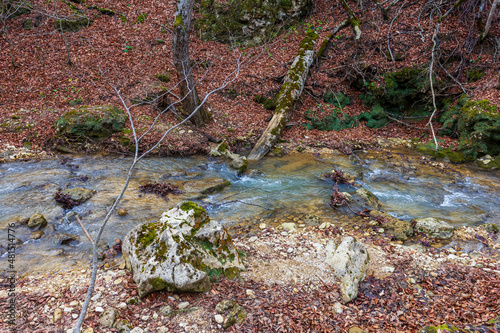 Fototapeta Naklejka Na Ścianę i Meble -  mountain river canyon late autumn season in Europe . walking in nature, observing the process of changing the season.