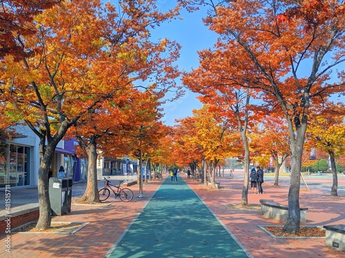 autumn in the park