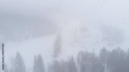 Frigid Atmosphere In A Foggy Winter Forest. Aerial Pullback photo