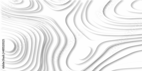 Abstract background white and black with abstract background.The texture packaging in a modern style. Beautiful drawing with the divorced and wavy lines in white tones for wallpapers and screensavers.