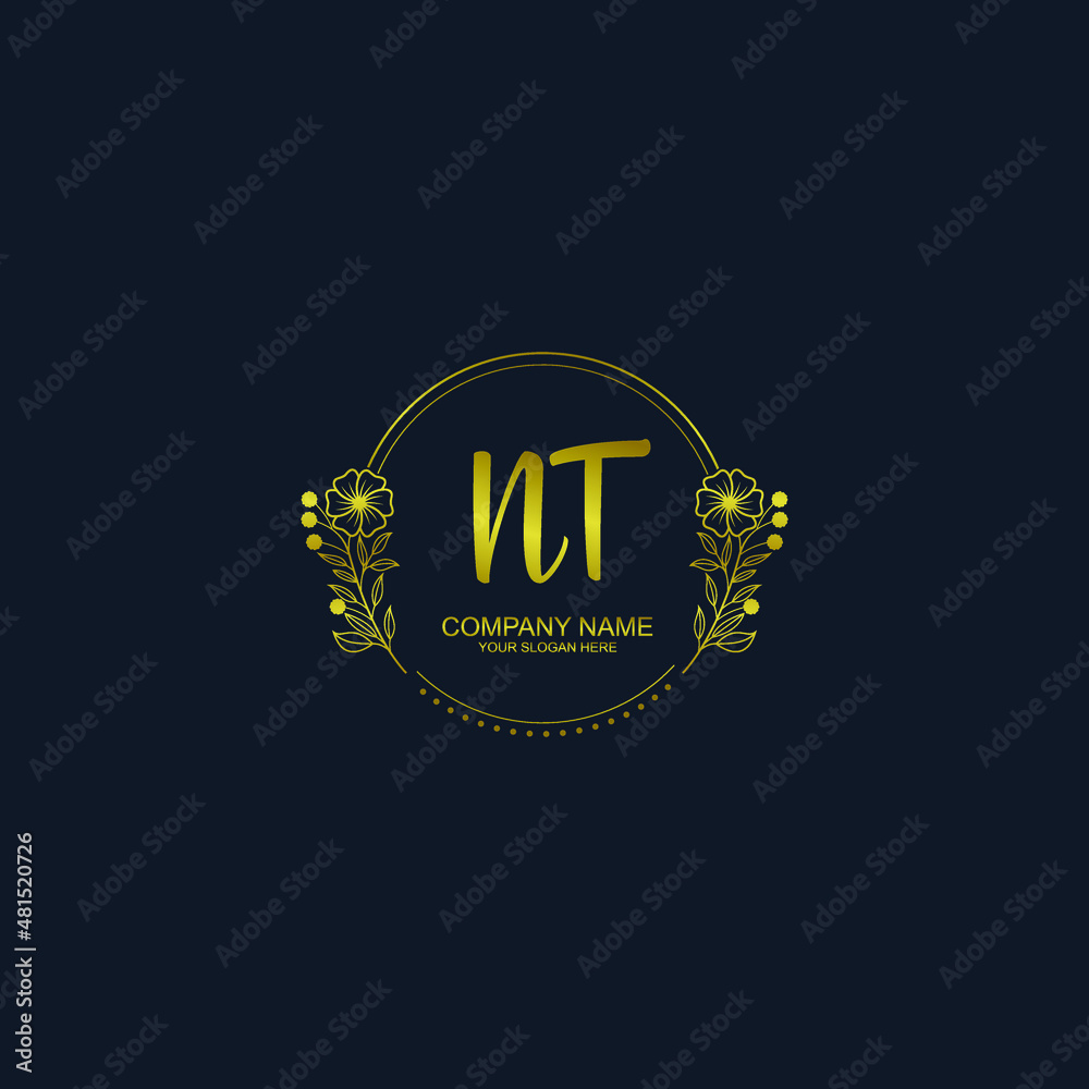 NT initial hand drawn wedding monogram logos NT initial hand drawn wedding monogram logos