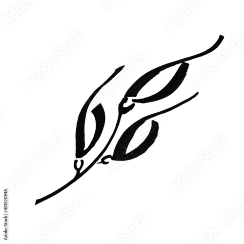 Marker bright black white flower with leaves hand drawn line stroke