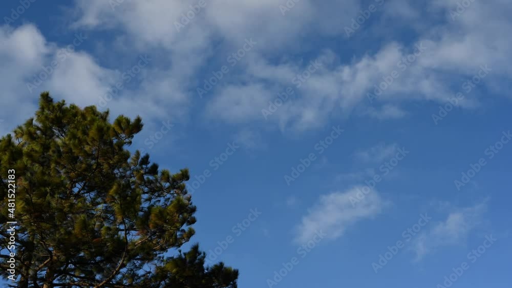 Clouds moving towards the left captured in a time lapse in Phu Ruea also revealing a pine tree shaking with the wind, Loei, Thailand. Clouds moving towards the left captured in a time lapse in Phu Ruea also revealing a pine tree shaking with the wind, Loei, Thailand.