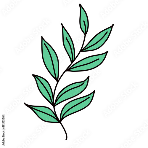 Hand-drawn green leaf isolated on white background