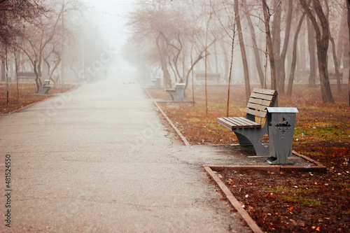 Foggy park alley with benches on morning