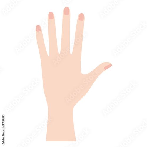 女性の左の手の甲