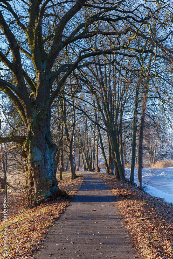 Brandenburg Barnim im Winter, Treidelweg am langen Trödel Kanal, Ruhlsdorf Marienwerder Zerpenschleuse Winterzeit Winterferien Berliner Umland Winterspaziergang Natur Ruhe Stille Winterferien weg Brandenburg Barnim im Winter, Treidelweg am langen Trödel Kanal, Ruhlsdorf Marienwerder Zerpenschleuse Winterzeit Winterferien Berliner Umland Winterspaziergang Natur Ruhe Stille Winterferien weg