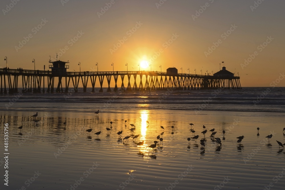 Obraz premium Seagull Birds and Scenic Sunset Sky over Imperial Beach Pier in San Diego, Southern California USA