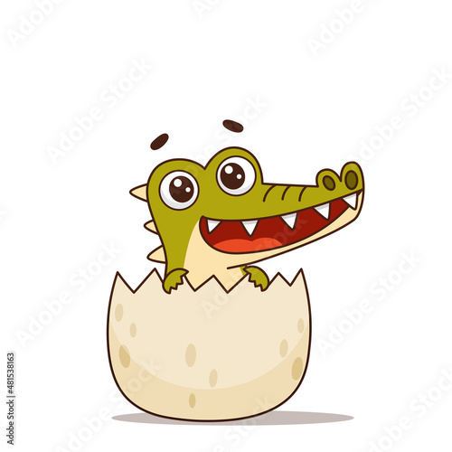 Newborn crocodile hatched from an egg. Vector illustration