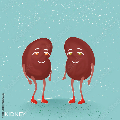funny illustrations anatomical image of human organs