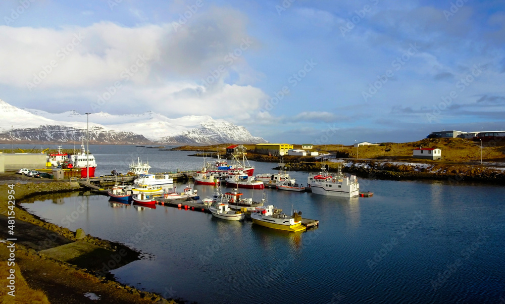 Djopivogur harbour in winter, Iceland