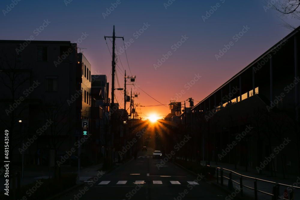 東京、世田谷の住宅街の夜明け風景