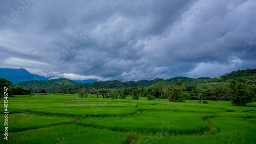 the rain is about to fall