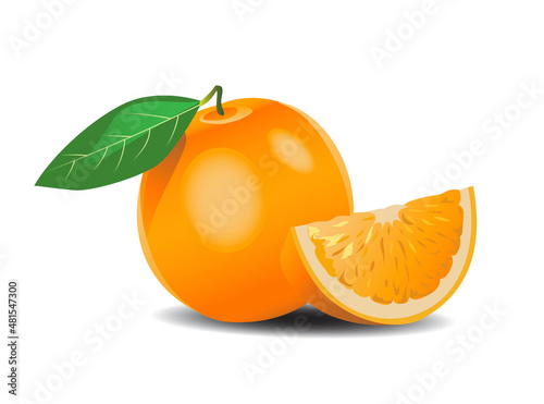 orange isolated on white. Vector illustration
