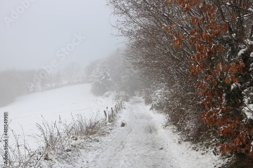 Feldweg im Winter bei Schnee und Nebel