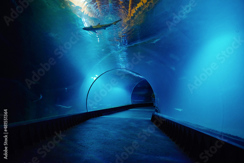 Underwater oceanarium tunnel