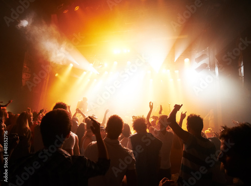 Rock fans unite. Rear view of a crowd cheering at a concert.