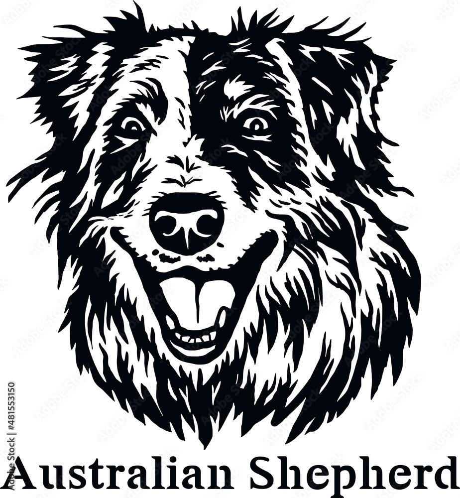 Fototapeta premium Australian Shepherd - Funny Dog, Vector File, Cut Stencil for Tshirt