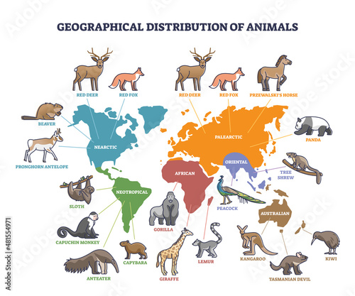 Fototapeta Naklejka Na Ścianę i Meble -  Geographical distribution of wild animals on world map outline concept. Labeled educational places of living mammals vector illustration. Palearctic, oriental, african, nearctic and neotropical zones.