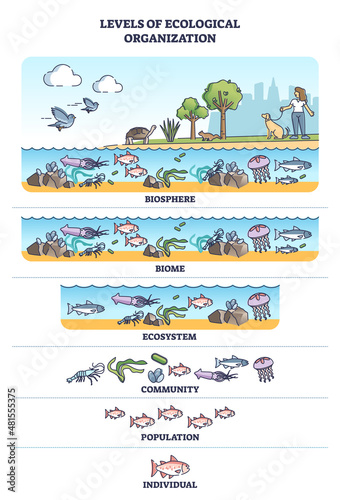 Levels of ecological organization with living organism division outline concept. Labeled educational individual, population, ecosystem, biome and biosphere classification system vector illustration.
