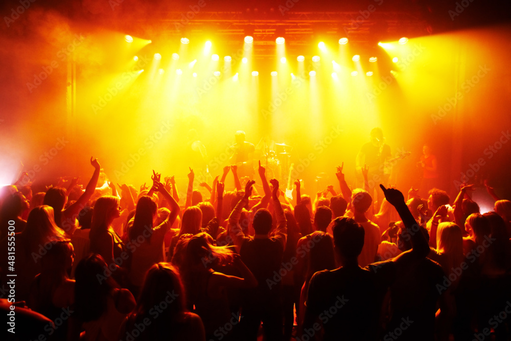 Fotografie Engulfed in the music