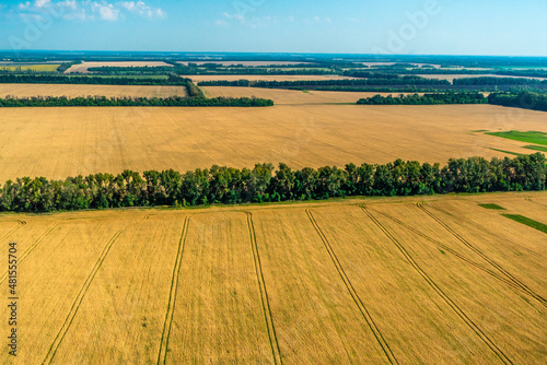 agricultural fields shot from the air
