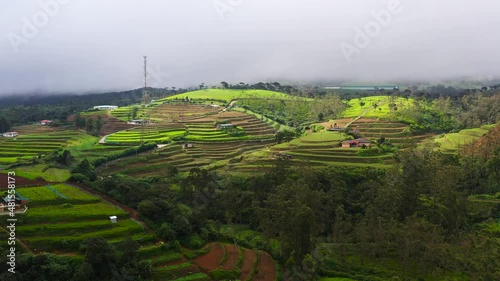 Agricultural land with plantings and tea plantations on hillsides in the mountains. Sri Lanka. photo