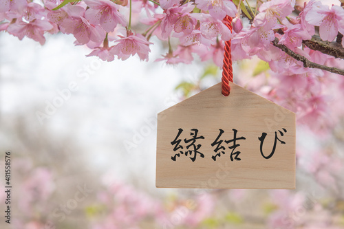 Canvastavla 縁結び　桜の花　絵馬