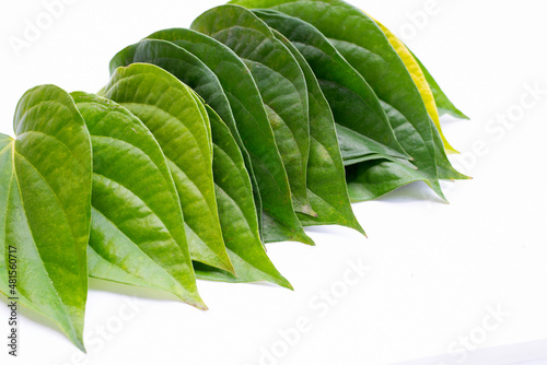 Obraz na plátně Green betel leaves, Fresh piper betle on white background