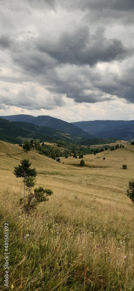 landscape with mountains