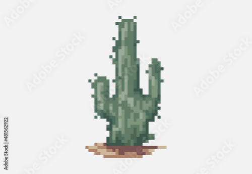 Illustration of a green cactus in pixel art style