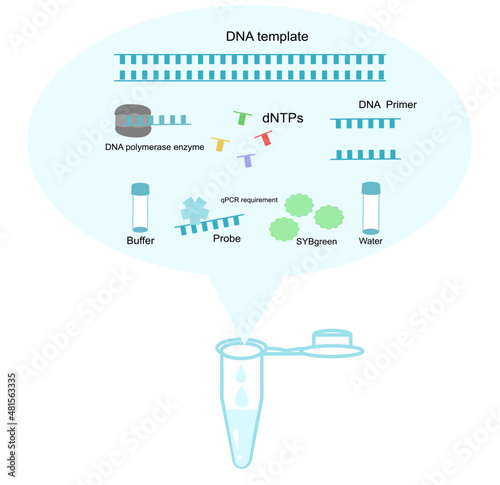 The materials ( DNA template, DNA polymerase enzyme, dNTPs, DNA Primer, buffer, Probe or SYBGreen and water) were mixed in one tube for polymerase chain reaction (PCR) or real-time PCR reaction.