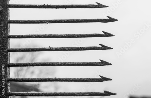 Antique harpoon for fishing