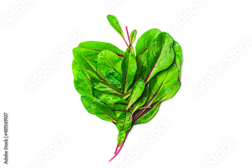 Fotografija Beet baby green foliage isolated on white background