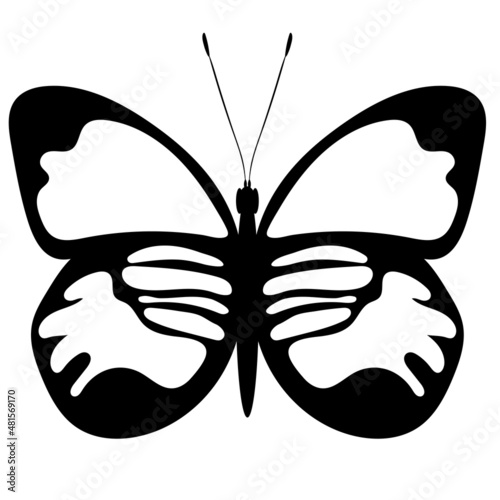 butterfly black and white silhouette, vector