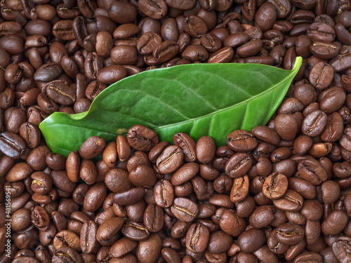 Background of coffee beans and coffee leaves. Close-up.